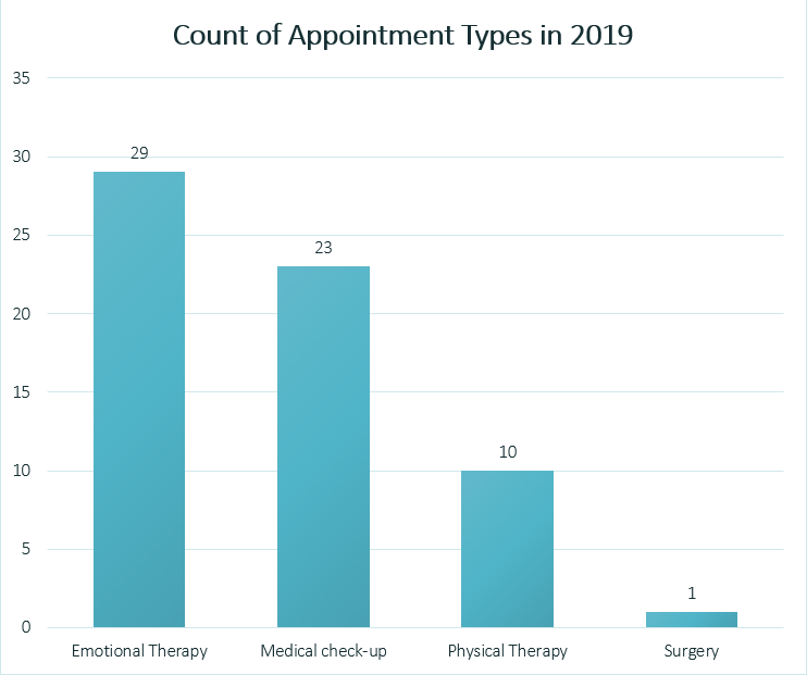 A graph showing a count of appointments by type: 29 emotional therapy, 23 medical check-up, 10 physical therapy, and 1 surgery.