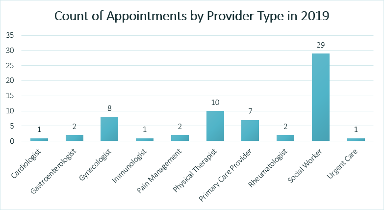 A graph showing a count breakdown of the appointments by provider type: cardiologist - 1, gastroenterologist - 2, gynecologist - 8, immunologist - 1, pain management - 2, physical therapist - 10, primary care provider - 7, rheumatologist - 2, social worker - 29, urgent care - 1