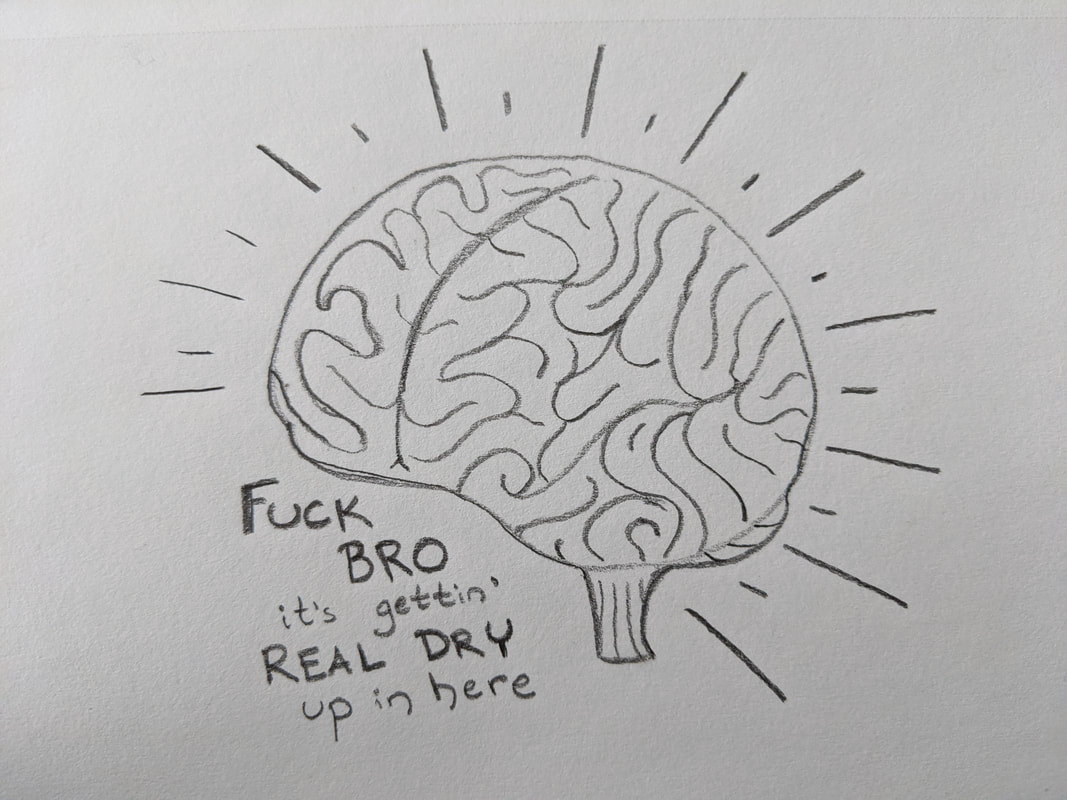 A human brain, labelled 